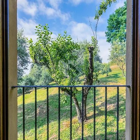 Locazione Turistica La Cupola- Lavanda Casa vacanze *